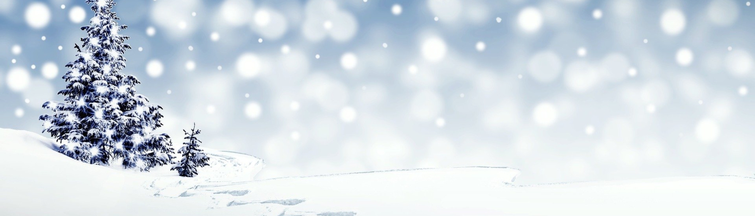 christmas-3864552_1920 Winterbild mit Schnee und Spuren